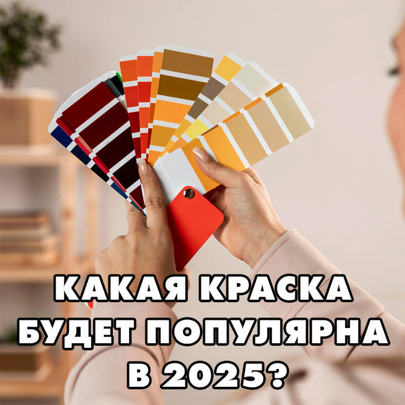 Какие краски для стен будут популярны в 2025 году? Полный гид по выбору цвета