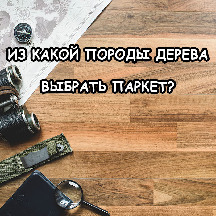 Паркет: из какой породы дерева выбрать пол и как не ошибиться?